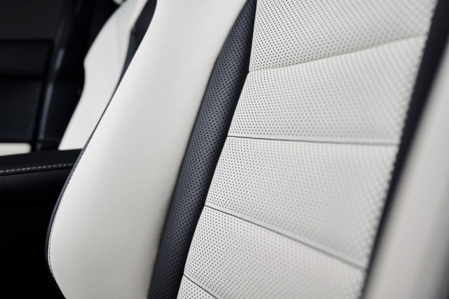 2019 Lexus NX F Sport Black Line Special Edition upholstery